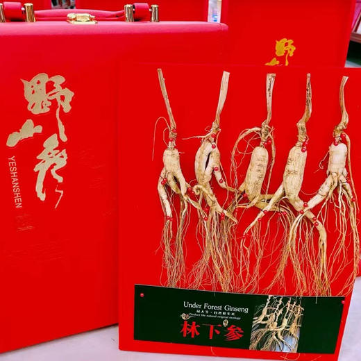 东北野山参 红皮林下参（5只装） 参龄8年左右 商品图0