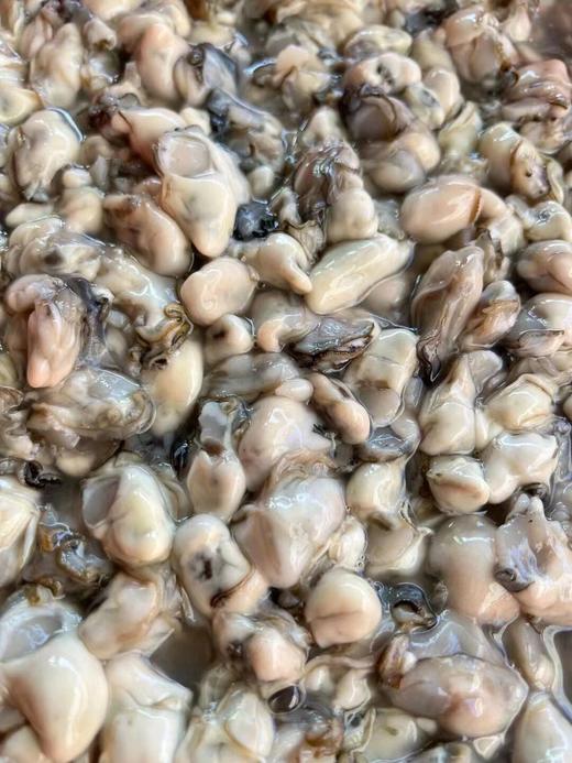 '活开海蛎肉~现挖现发，海中牛奶，补钙王 鲜甜营养！ 商品图2