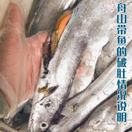 预售 预计12月23日发货 如遇天气回暖发货会另有延迟「自营」正宗舟山带鱼 ( 通过放射性安全复检) 商品图2