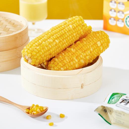 【代餐精选】吉林出口级有机速冻雪山玉米 冻吃像玉米雪糕 热吃像玉米麻薯糯甜糯甜玉米味十足，来自长白山黑土地 非真空极速冷冻鲜度更高 99%人没有吃过的雪山玉米 商品图1