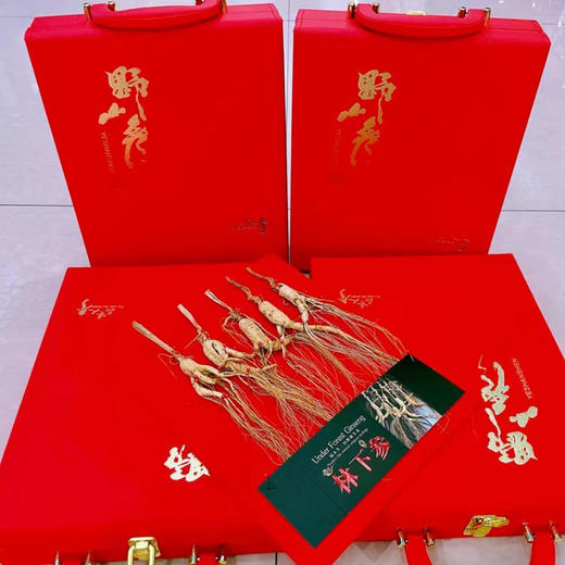 东北野山参 红皮林下参（5只装） 参龄8年左右 商品图2