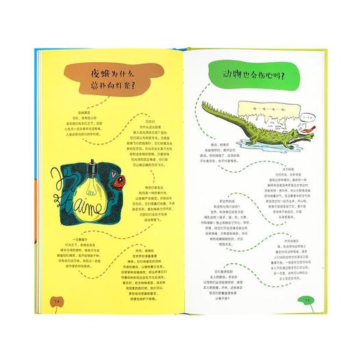 《为什么我家狗总爱啃臭袜子？》 商品图4