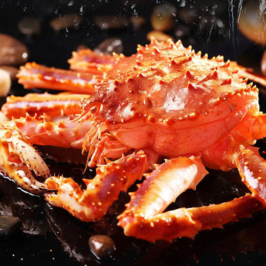 TY（分多包裹发货）暖心驿站尊岛金宝盆智利帝王蟹北极红参鸿福佛跳墙3640g生鲜组套商品【鲜知10.0】 商品图1