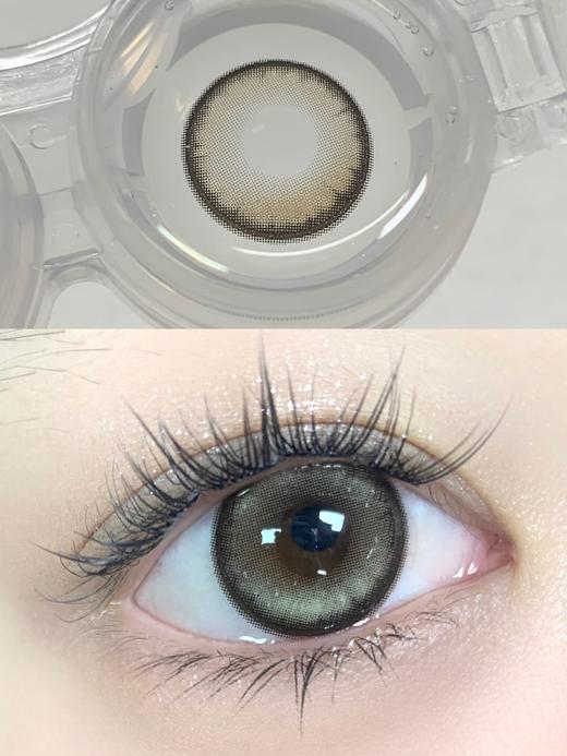 Deerbell鹿小贝品牌-布偶熊 商品图5