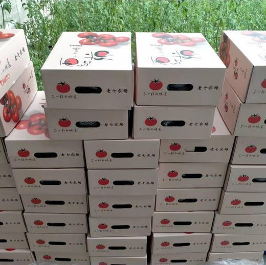 原味一号番茄🍅除了贵就是出奇的好吃，口感比草莓柿子更极致，爆汁，浓郁番茄香，酸甜比完美！三斤/箱 商品图5