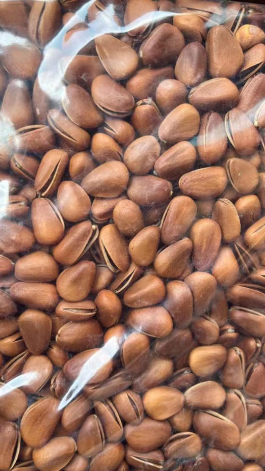 【🐿️·东北松子】
东北的野生松子 易开口，大颗粒 颗颗臻选 粒粒饱满 ，醇香浓郁 香脆可口，品质保证！500克/袋 商品图4