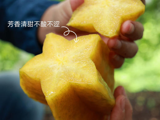 真正树上熟｜甜杨桃 商品图9