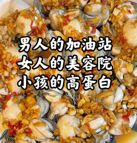 '活开海蛎肉~现挖现发，海中牛奶，补钙王 鲜甜营养！