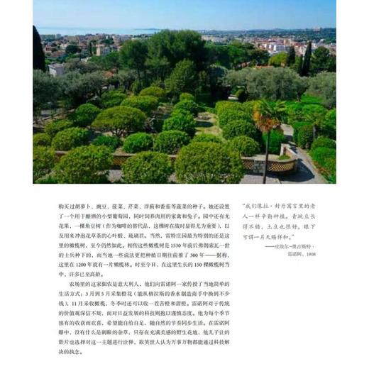 艺术家的花园 商品图3