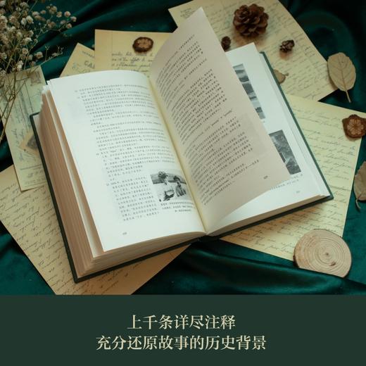 柳林风声   诺顿注释本 商品图3