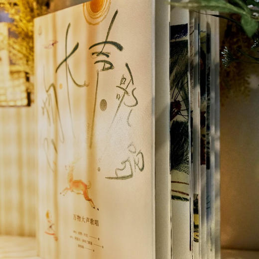 万物大声歌唱 商品图1