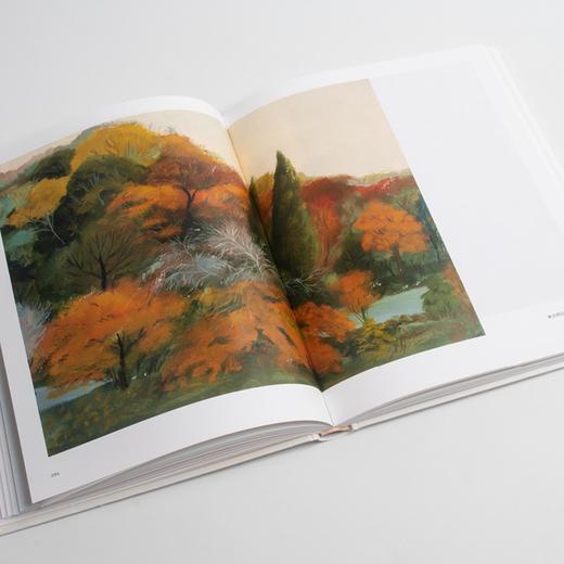 【微瑕】旅行箱里的四季 卤猫 著/绘 商品图5