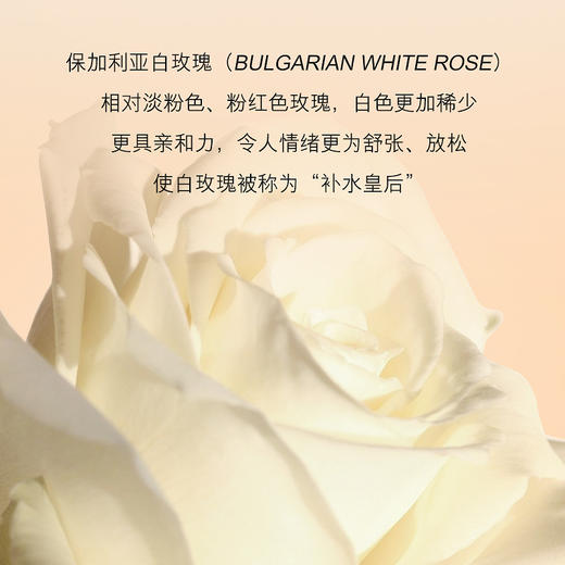 【LEADR女神之美 大马士革玫瑰纯露】300ML一瓶，可湿敷，可当成爽肤水用，告别冬季沙漠干皮，成分只有玫瑰花水，天然0添加，清爽不粘腻，细腻毛孔，一抹好吸收 商品图3