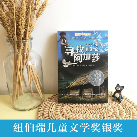 寻找阿加莎 商品图1