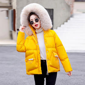 冬款韩系时尚通勤短款加厚保暖字母印花连帽棉衣HR-WA16899