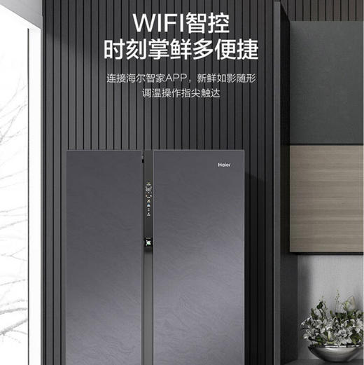 海尔（Haier）冰箱BCD-626WLHSS19SAU1 商品图5