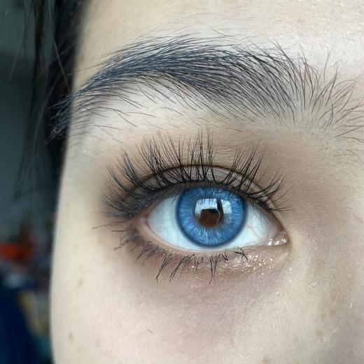 Deerbell鹿小贝品牌-暹罗猫 商品图10