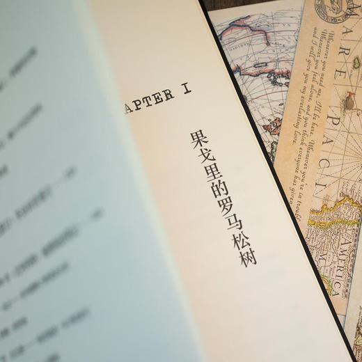 告别 陈丹燕 地理阅读30年全纪录 1990-2022 商品图6