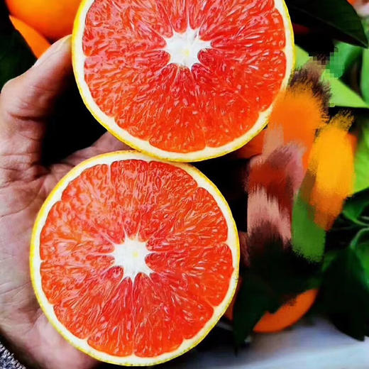 血橙 10斤装（规格随机） 商品图0