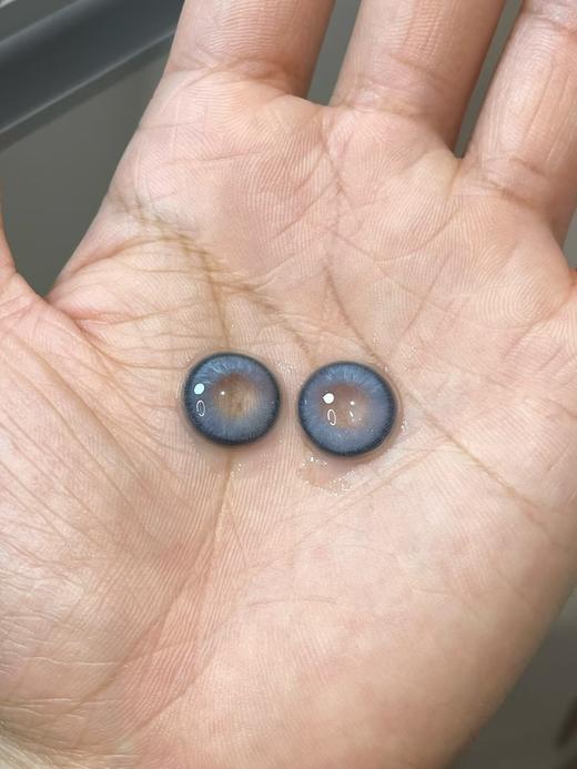 Deerbell鹿小贝品牌-暹罗猫 商品图4