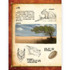 龙族百科：龙族形象的创造与设计 商品缩略图4