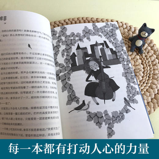 屋顶上的索菲 商品图3