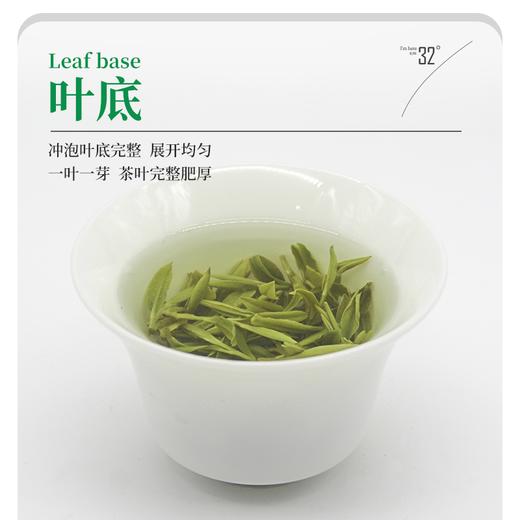 2024明前春茶新茶高山云雾茶绿茶翠芽160g礼盒装 商品图4