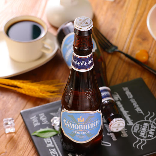 鸿迈捷克/巴伐利亚淡色啤酒470ml/6瓶 商品图2