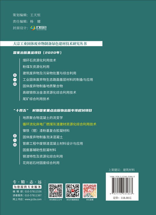 循环流化床电厂燃煤灰渣建材资源化综合利用技术 大宗工业固体废弃物制备绿色建材技术研究丛书 商品图2