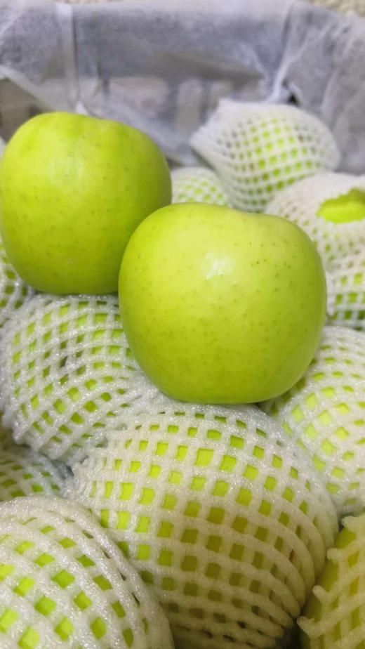 陕西：瑞雪苹果，妥妥国货之光，西北农林科技大学科研团队历经14年培育出的优质晚熟品种，深耕黄土高原，在数万次的实验中才研发出一颗极好种植、口感、颜值于一身！脆甜，口感一点不输阿克苏！4.5斤/箱 商品图2