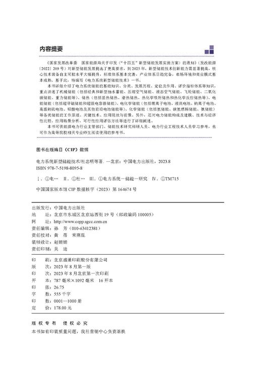 电力系统新型储能技术 商品图3