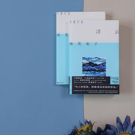 浮云丨林芙美子代表长篇杰作 同名电影《浮云》斩获无数大奖 昭和时代女性文学的畅销经典书籍 商品图3