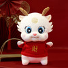 小白龙玩偶龙年吉祥物公仔生肖龙毛绒玩具布娃娃活动礼品可定logo 商品缩略图9