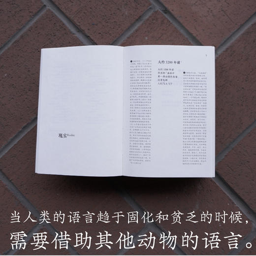 阿猩 商品图3