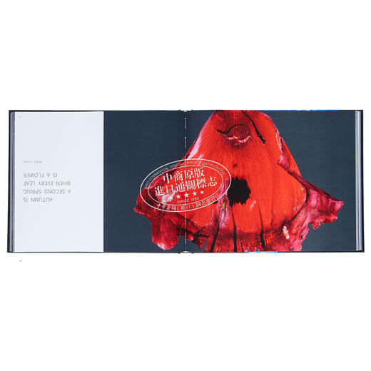 【中商原版】Floral 进口艺术 花卉 商品图5