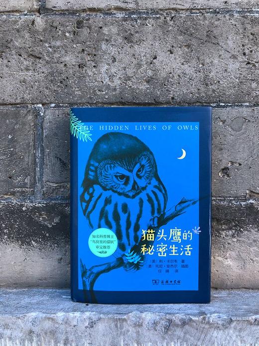 猫头鹰的秘密生活 商品图2