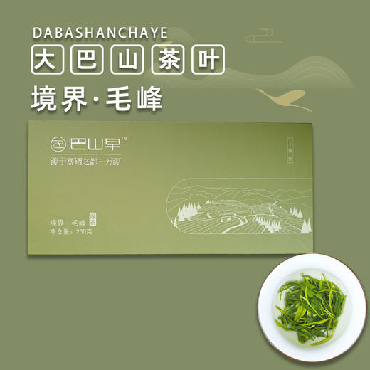 巴山早2024春茶特级毛峰绿茶200g礼盒装清香型特级茶叶茶园直销高山云雾硒茶 商品图0