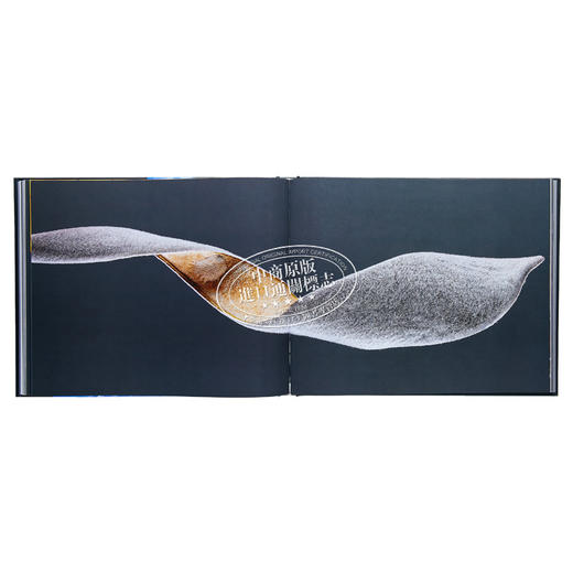 【中商原版】Floral 进口艺术 花卉 商品图7