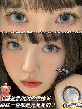 jellibo 西西里 灰/ 蒙太奇 棕 14.5mm  年抛 非离子