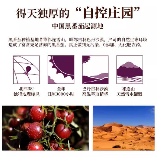 【男性滋养“黑金刚”】大漠紫光黑番茄原浆 不含一滴水 高纯度萃取 0添加 0防腐 天然鲜果榨汁 30ml*15袋/盒 商品图5