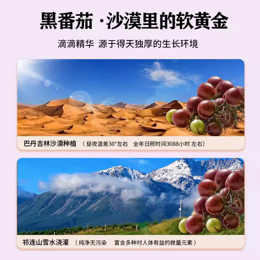 【男性滋养“黑金刚”】大漠紫光黑番茄原浆 不含一滴水 高纯度萃取 0添加 0防腐 天然鲜果榨汁 30ml*15袋/盒 商品图4