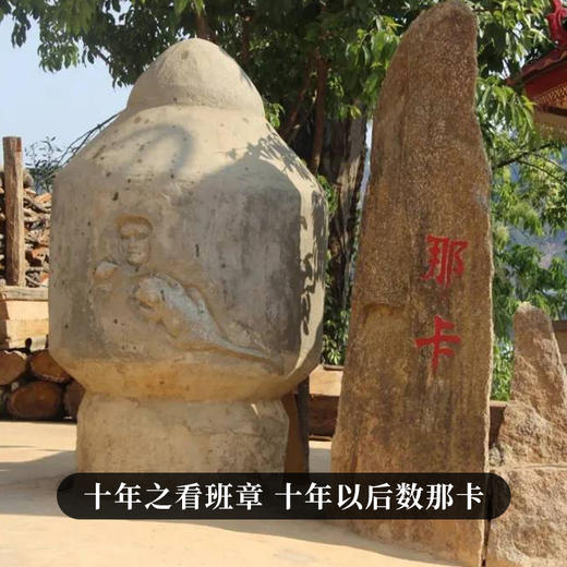 【那卡】2023年头春勐宋小班章勐海普洱茶生茶357g/饼 拍5发6 商品图6