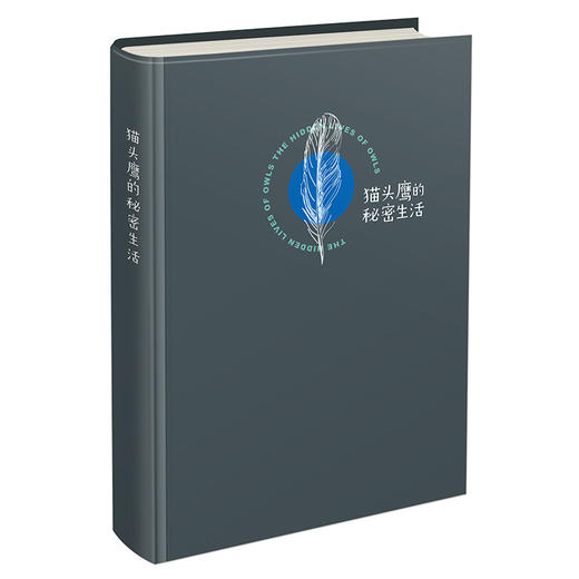 猫头鹰的秘密生活 商品图1