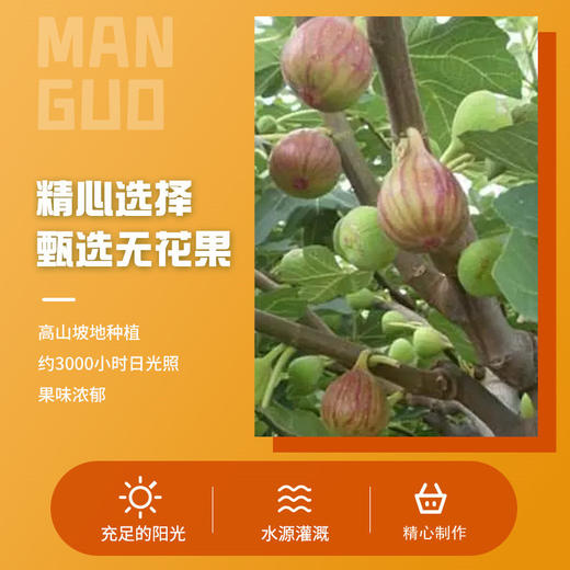 【可口健康！新鲜采摘无花果干】一口咬下，酸爽回味无穷，甜蜜满溢！整箱果脯休闲酸甜办公室蜜饯果蔬食品水果干无花果干 商品图1