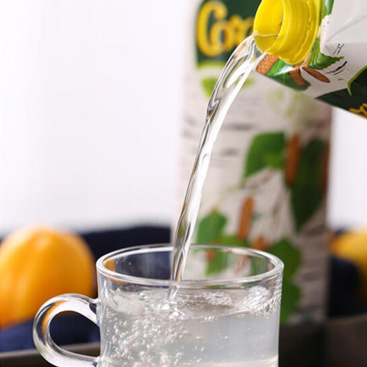 白俄罗斯寒潮牌桦树汁1000ml 商品图1