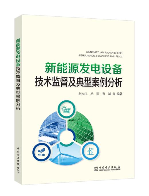 新能源发电设备技术监督及典型案例分析 商品图0