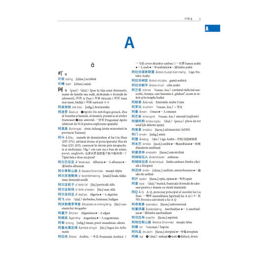 汉罗大词典 商品图10