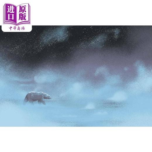 【中商原版】极地 天涯海角的野生动物 Polar 英文原版 儿童动物绘本 精装科普绘本 进口Wildlife at the Ends of the Earth 商品图4