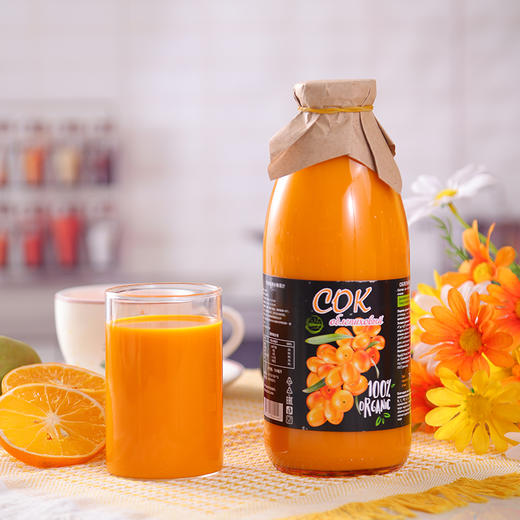 白俄罗斯vitba牌沙棘汁/桦树茸汁 商品图0