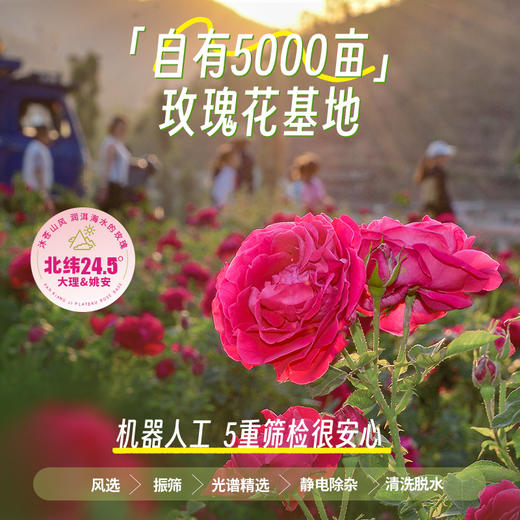 潘祥记官方旗舰店[250g多口味玫瑰]鲜花饼 商品图1